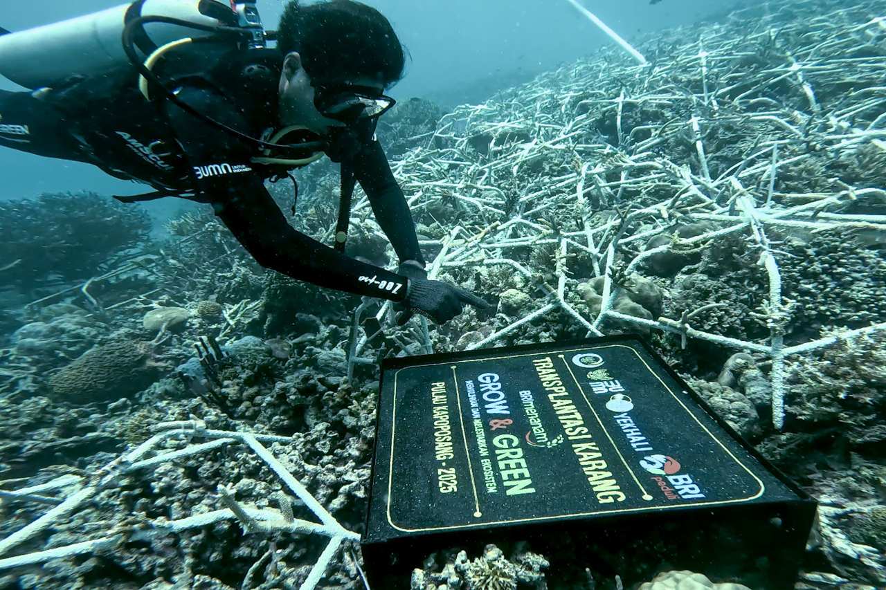 BRI Pertegas Komitmen dalam Menjaga Ekosistem Lingkungan melalui BRI Menanam – Grow & Green