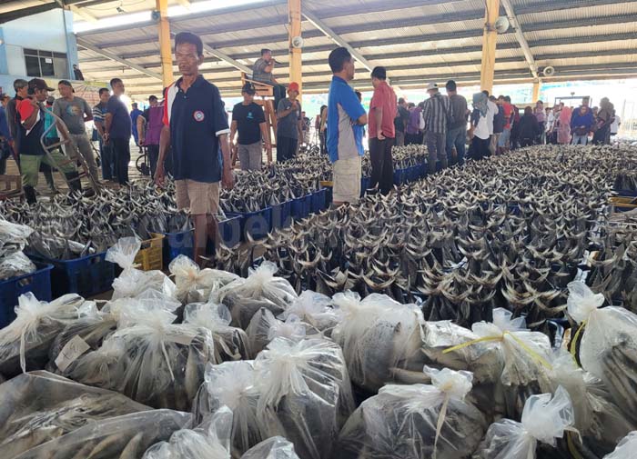 Pasokan dari Nelayan Berkurang, Harga Ikan di TPI Kota Pekalongan Naik