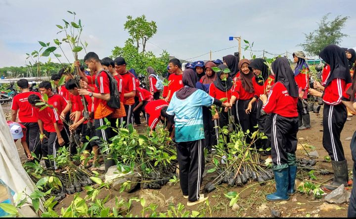 Aksi Peduli Lingkungan, SMK Negeri 3 Kota Pekalongan Tanam 1.000 Bibit Mangrove