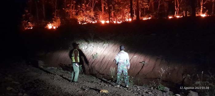 Dua Pekan Sudah 3 Kasus Kebakaran Hutan di Wilayah Batang, Perhutani Menduga Ada Unsur Kesengajaan