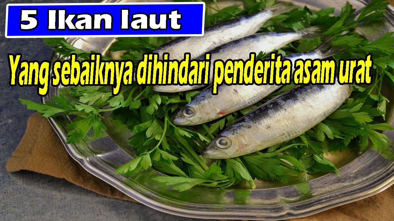 5 jenis Ikan yang Tidak Boleh Dimakan oleh Penderita Asam Urat, Dapat Memperparah Penyakit Asam Urat