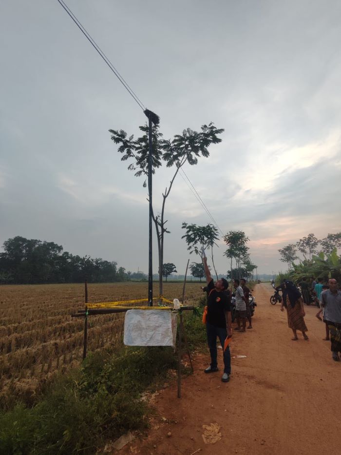 Kejar Layangan Putus, Pelajar SD di Wonopringgo Tewas Tersengat Listrik Tiang Penyangga Jaringan Internet