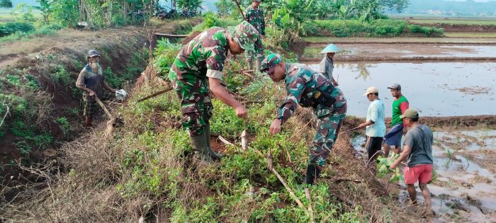 Babinsa Koramil Bojong dan Petani Gropyokan Tikus di Sawah Desa Wangandowo Pekalongan