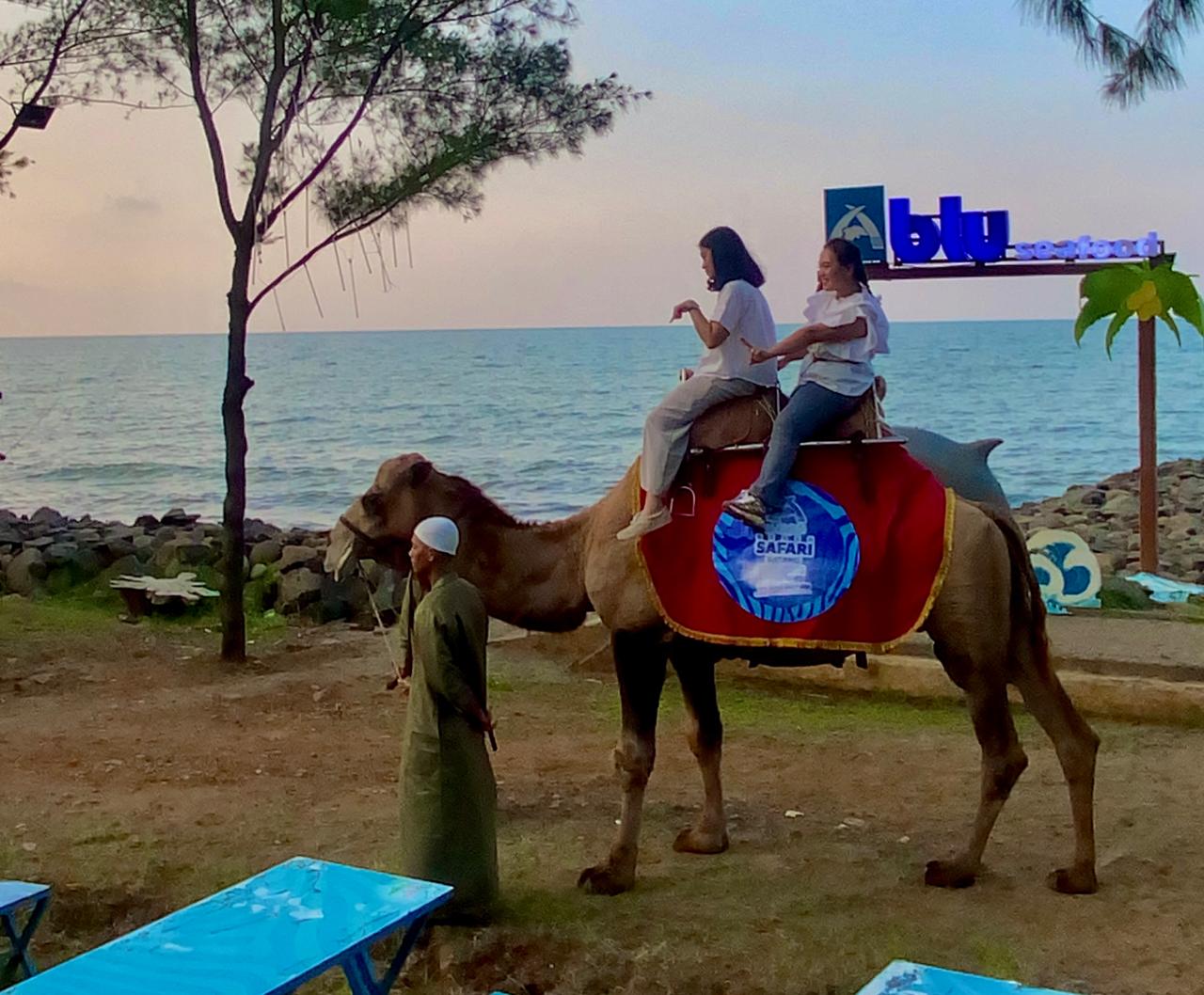 Cuma Rp20 Ribu, Ngabuburit di Safari Beach Jateng Bisa Nikmati Show Lumba-lumba dan Atraksi Lainnya