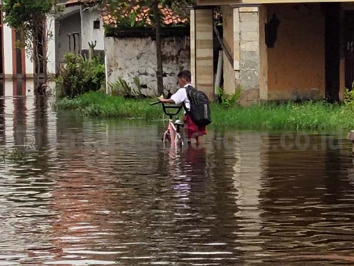 Empat Desa di Pesisir Tirto 4 Bulan Digenangi Rob