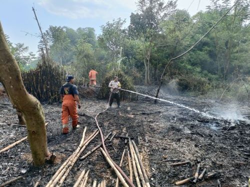 Lagi Lagi Gara-gara Puntung Rokok, Kebakaran Lahan Terjadi di Desa Tanjungkulon