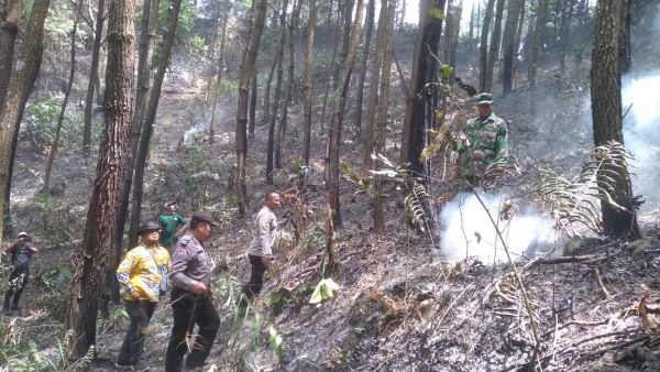 Kebakaran Hutan di Paninggaran, Warga Bareng Petugas Gropyokan Padamkan Api
