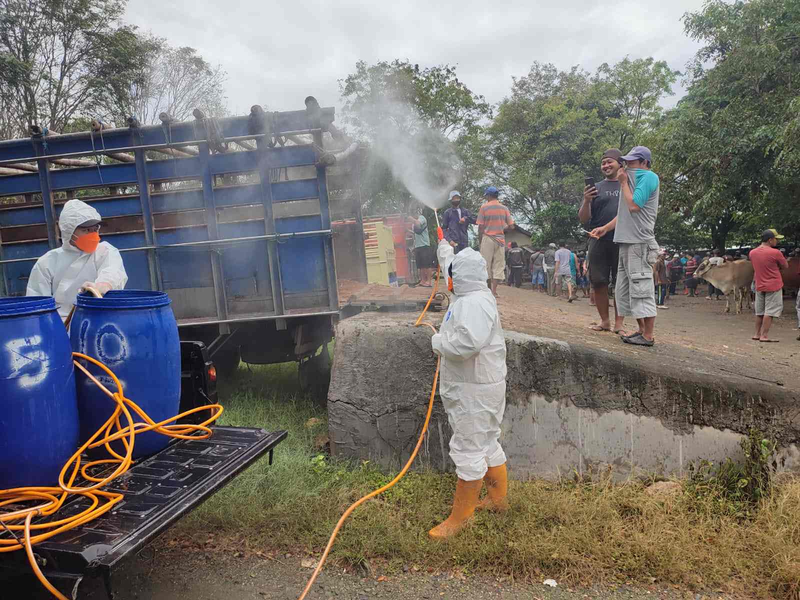 Kasus PMK di Jateng Melandai, Peternak Diimbau Tak Lena