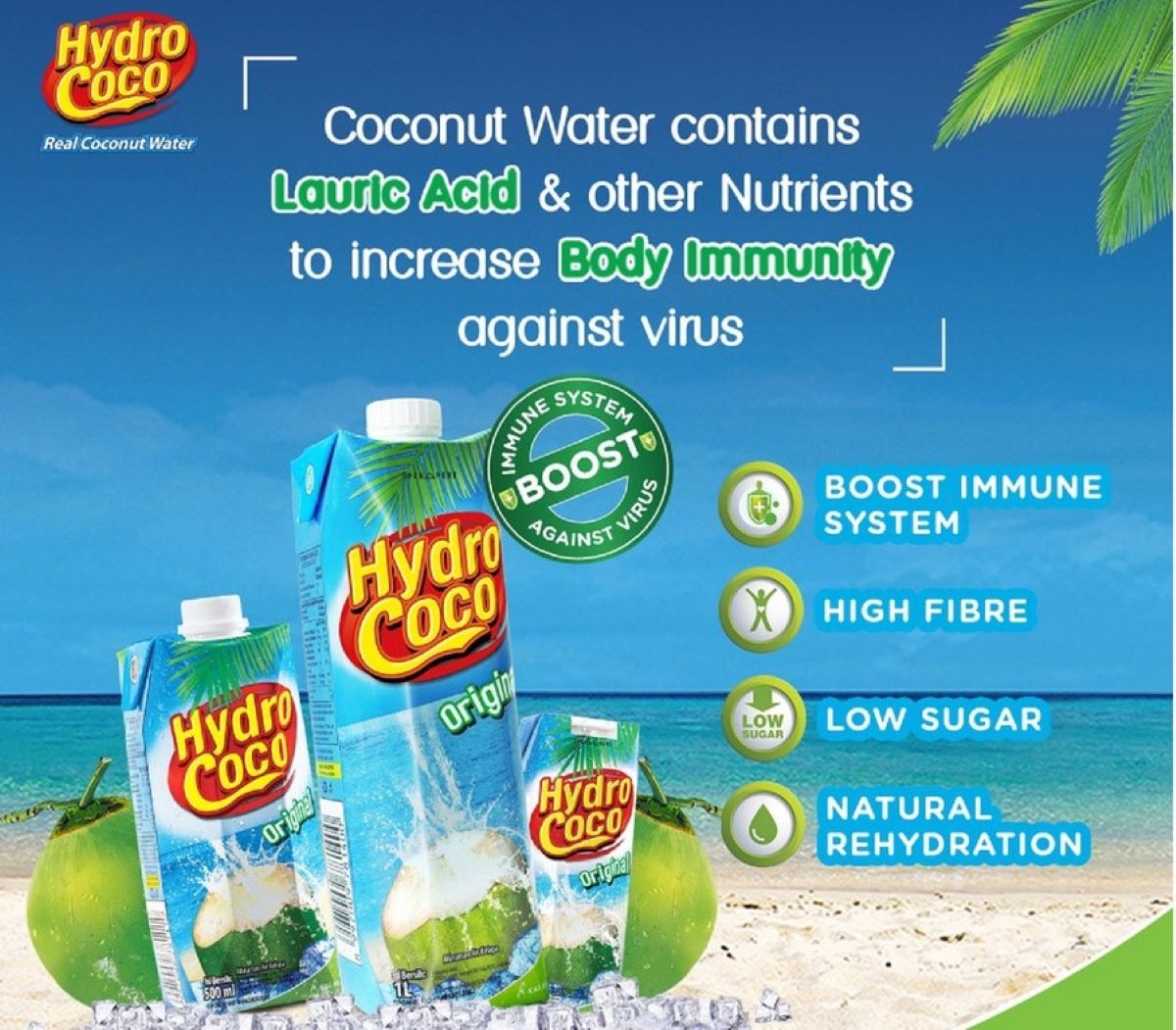 Apa Itu Hydro Coco? Inilah 5 Manfaat Hydro Coco untuk Kesehatan Tubuh Serta Kandungannya yang Aman Dikonsumsi 
