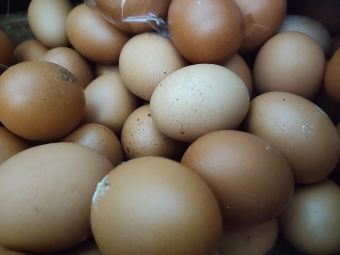 Harga Telur di Kabupaten Pekalongan Tembus Rp 32.000 Perkilo