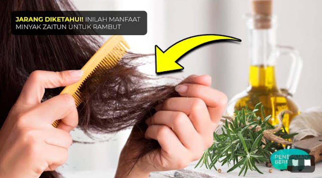 2 Cara Memakai Minyak Zaitun untuk Rambut Uban Agar Hitam Permanen, Rahasia Uban Hilang Tanpa Dicabut