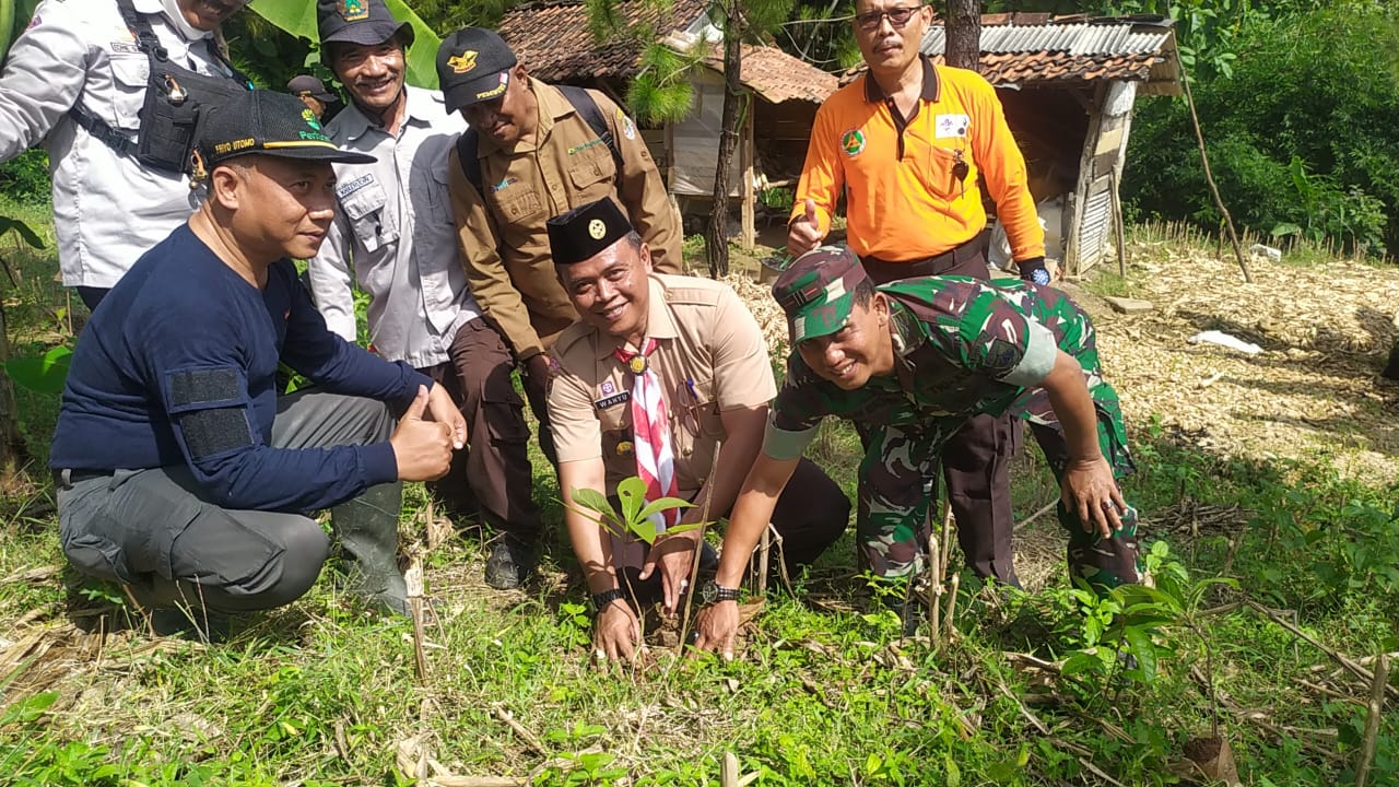 Kwarcab Kabupaten Pekalongan Lakukan Penanaman 1000 Pohon di Desa Ujungnegoro Kesesi