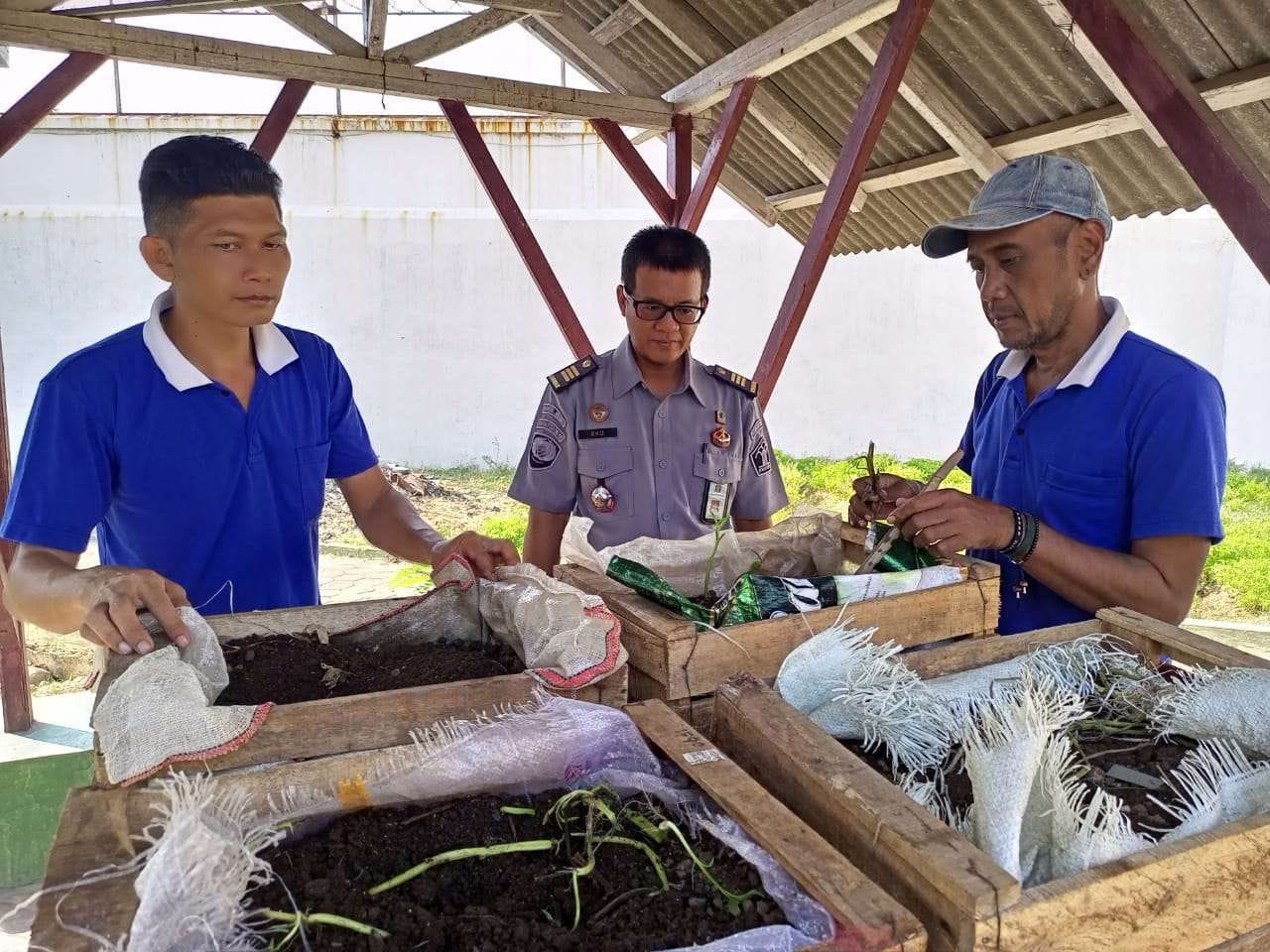 Harga Cacing Tanah Hasil Budidaya Warga Binaan Rutan Kelas IIA Pekalongan Tembus Rp70 Ribu/Kilogram 