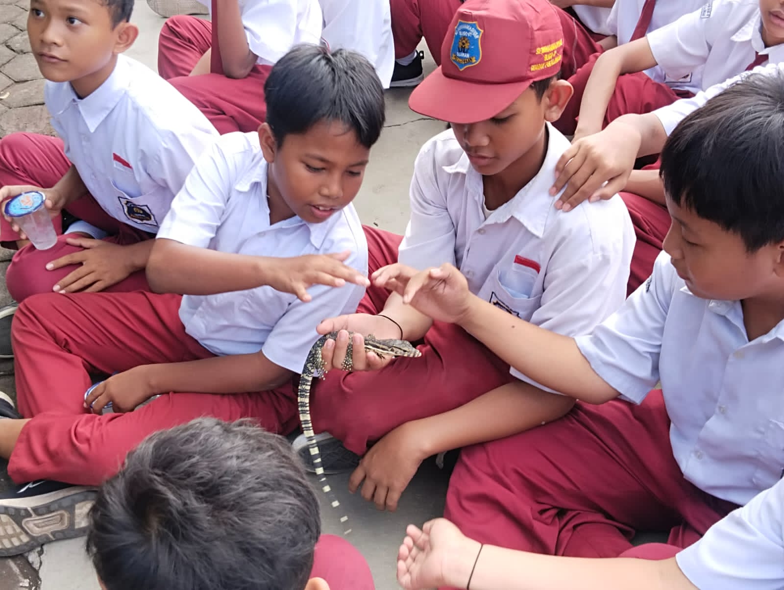 Murid SD Muhammadiyah Bligo 01 Diberikan Edukasi Reptil dan Satwa Bersama EXALOS Regional Pekalongan