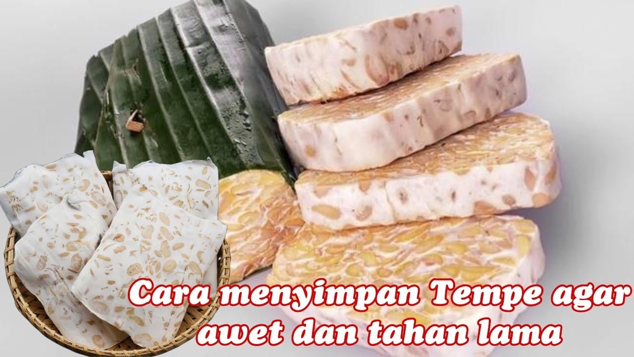 Trik Ampuh Menyimpan Tempe Agar Awet dan Tidak Berubah Rasa hingga 3 Bulan