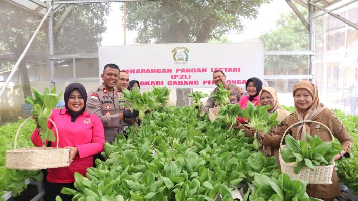 Polres Pekalongan Launching Program Pekarangan Pangan Lestari, Dukung Program Makan Bergizi Gratis