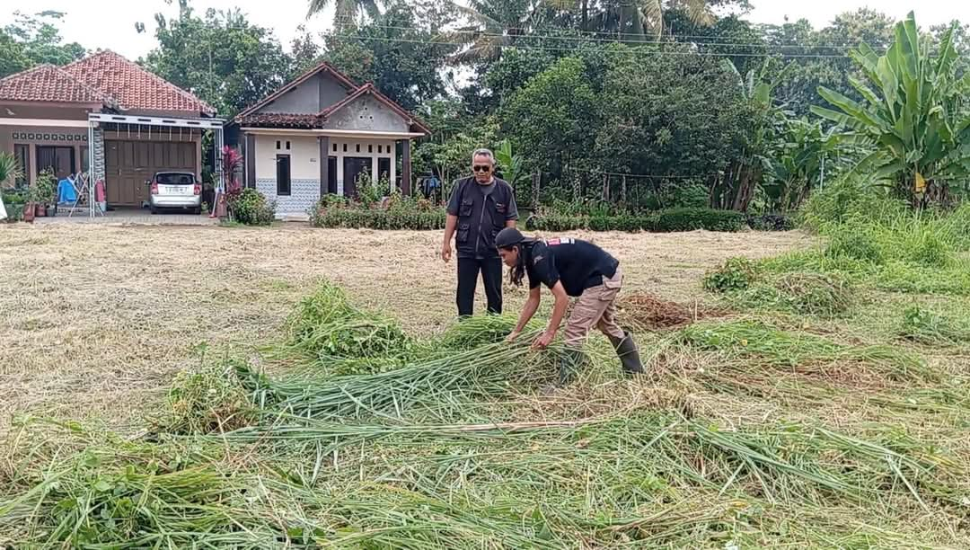 Warga Desa Wonopringgo Akan Ubah Lahannya Menjadi Pusat Pengembangan dan Pendidikan Pertanian