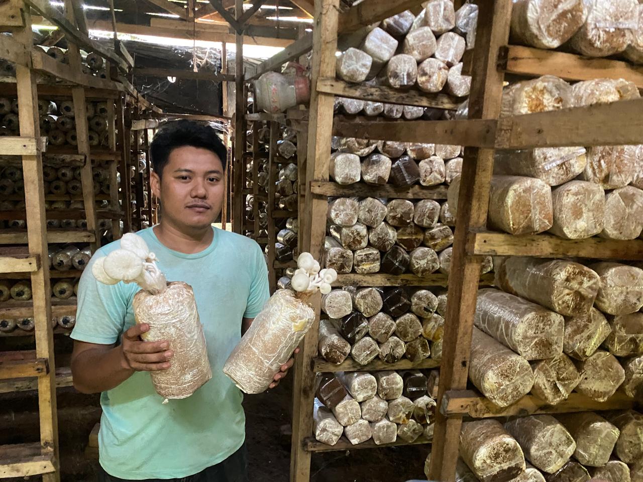 Berkah Ramadan, Permintaan Jamur Tiram Meningkat 2 Kali Lipat