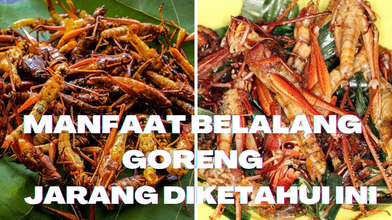 Manfaat Makan Belalang Goreng, Sehat Tetapi Juga Membawa Risiko Kesehatan