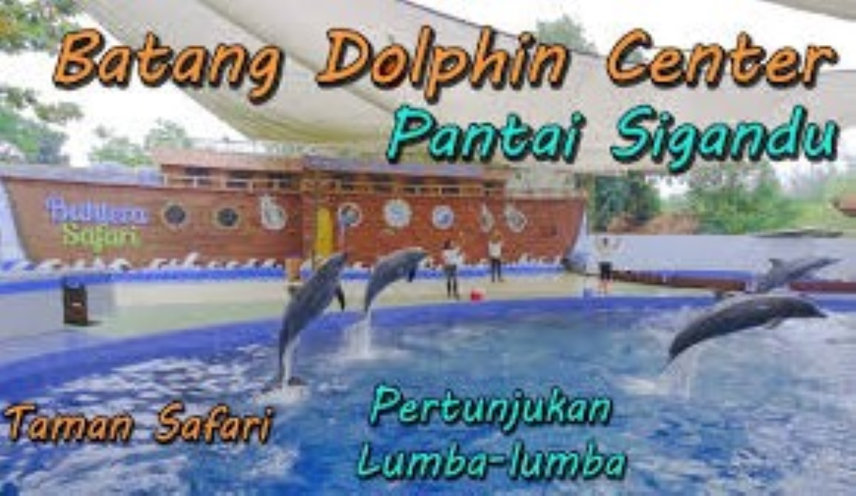 6 Daya Tarik dari Batang Dolphin Center yang Menjadi Salah Satu Taman Safari Terbesar di Jawa Tengah!