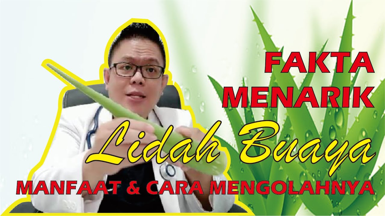 Inilah Manfaat Lidah Buaya yang Bisa Cegah Penyakit, Apa Saja?