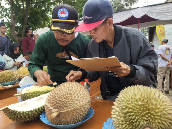 Kontes Durian Lokal Doro 2024, Durian Panji dari Desa Rogoselo Juara 1