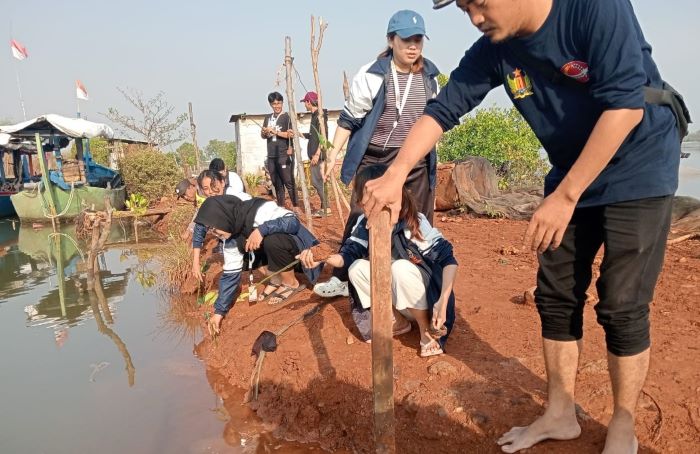 Bhabinkamtibmas Polsek Wiradesa dan Mahasiswa KKN Undip Tanam Mangrove di Pesisir Pantai Wonokerto Pekalongan