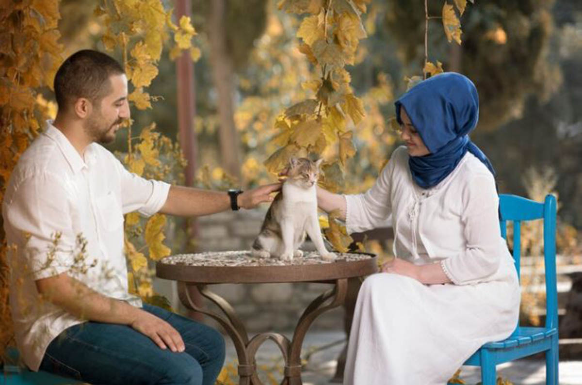 Hukum Memelihara Kucing dalam Islam: 5 Hal yang Harus Kamu Ketahui Sebelum Membawa Si Imut ke Rumahmu