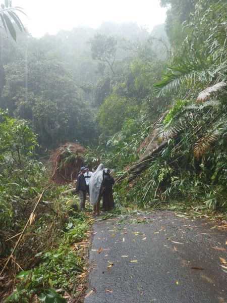 Jalur Kroyakan Tertutup Longsor, Akses Ke Petungkriyono Kabupaten Pekalongan Tertutup