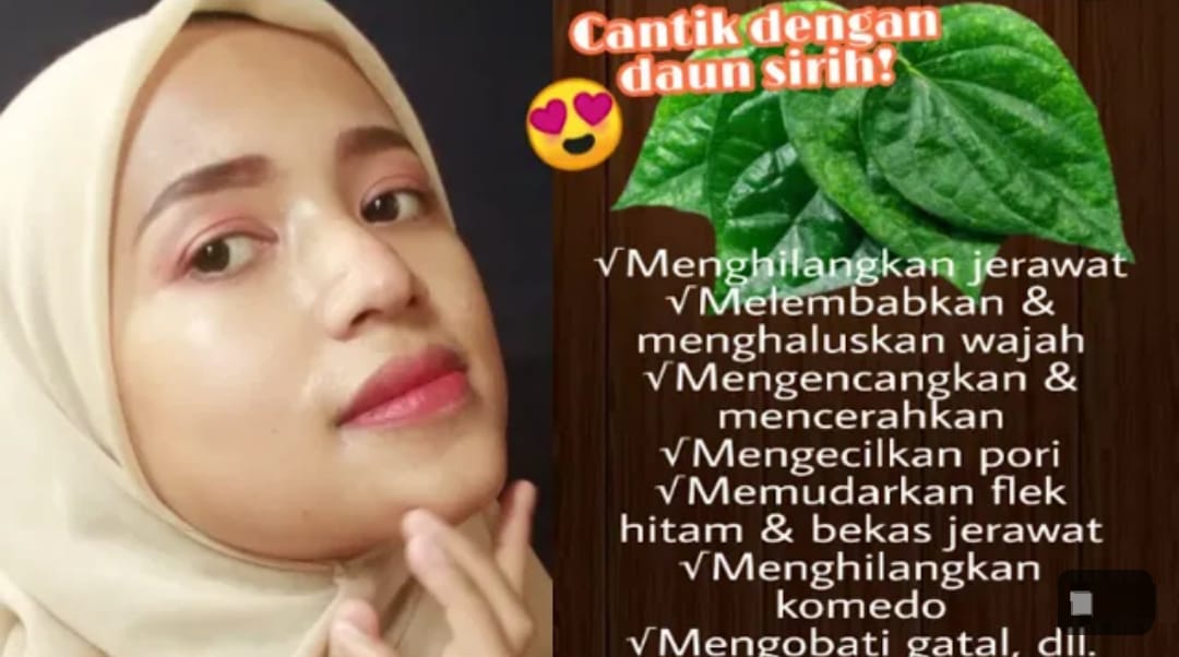 Begini Cara Menggunakan Daun Sirih Cina untuk Wajah Kencang dan Glowing, 1 Bahan Hilangkan Noda dan Kerutan