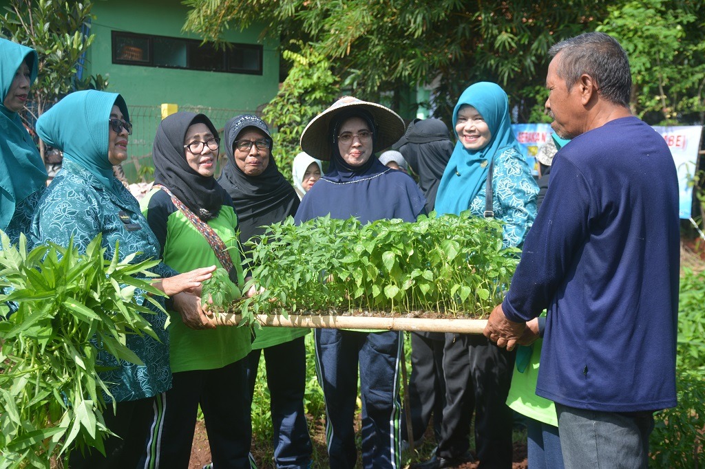 Harga Cabai Melambung, PKK Batang Ajak Masyarakat Dukung Gerakan Tanam Cabai Serentak