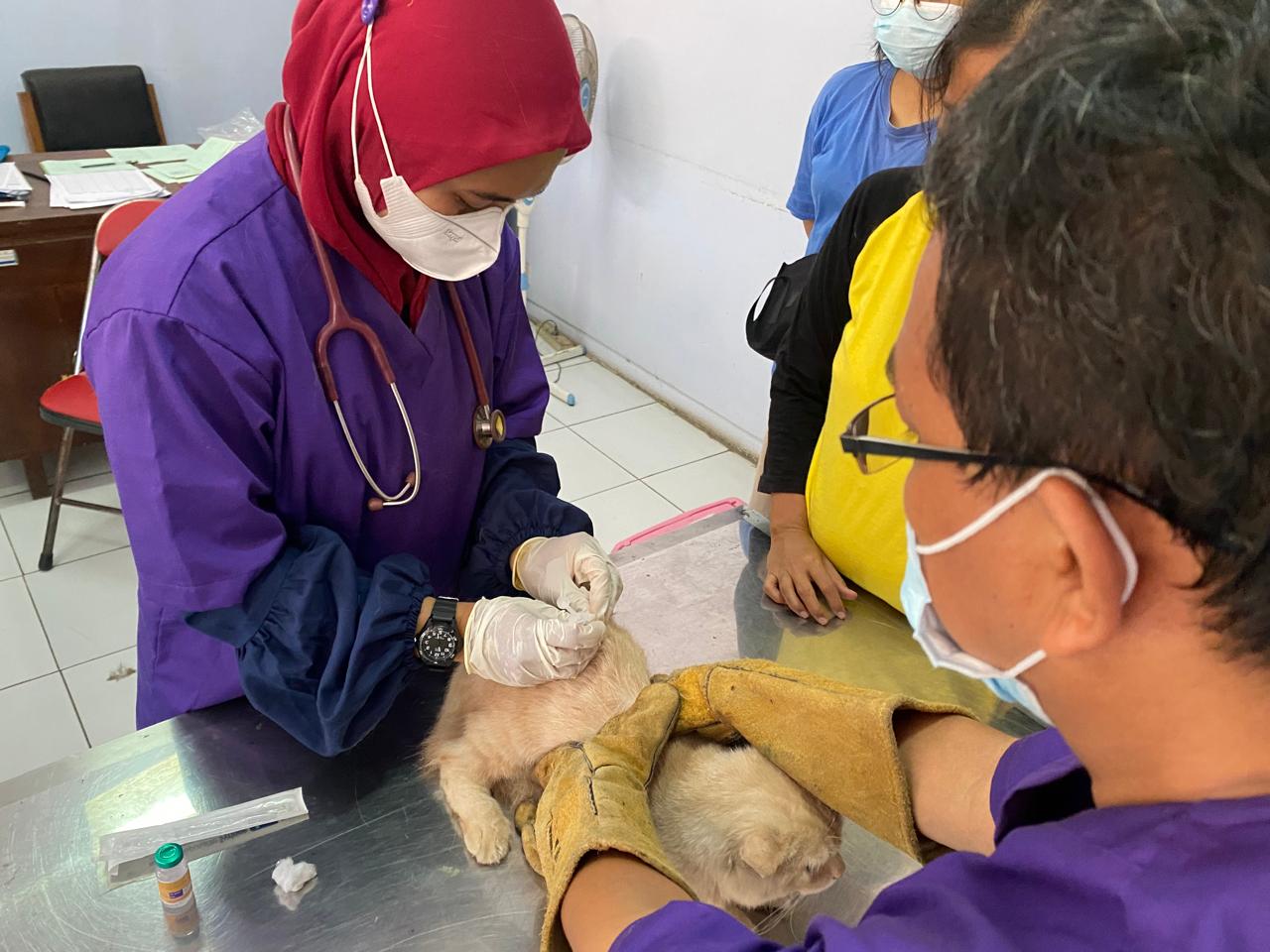 Waduh, Kabupaten Batang Krisis Tenaga Dokter Hewan