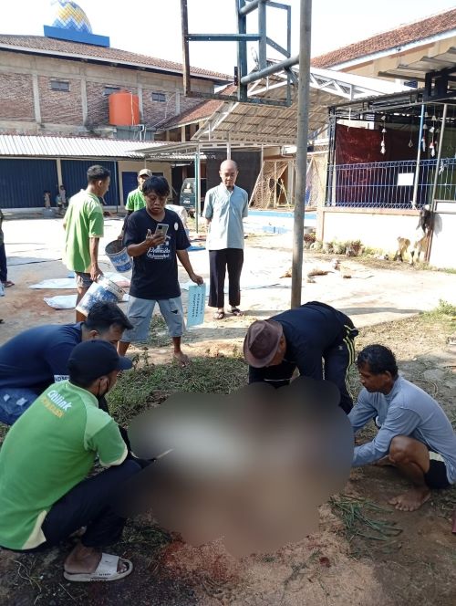 Lazismu Pekalongan Catatkan Dana Kurban 11 Miliar, Tertinggi se-Jawa Tengah