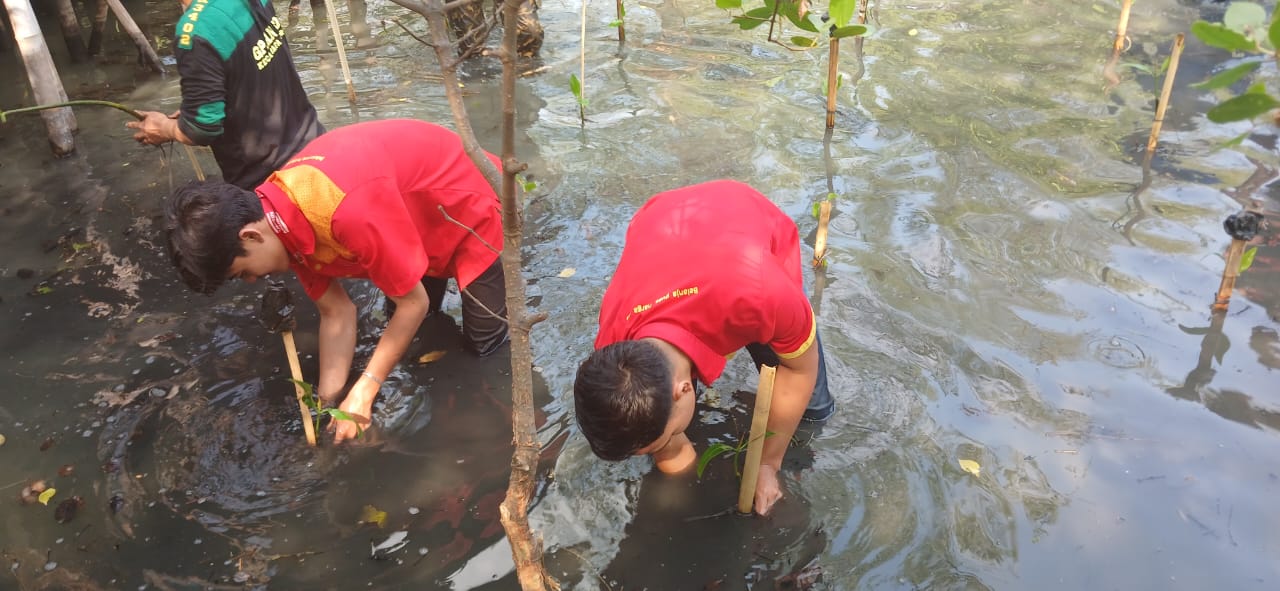 Alfamart Berpartisipasi dalam Gerakan “Mageri Segoro” Tanam Mangrove di Pesisir Pekalongan