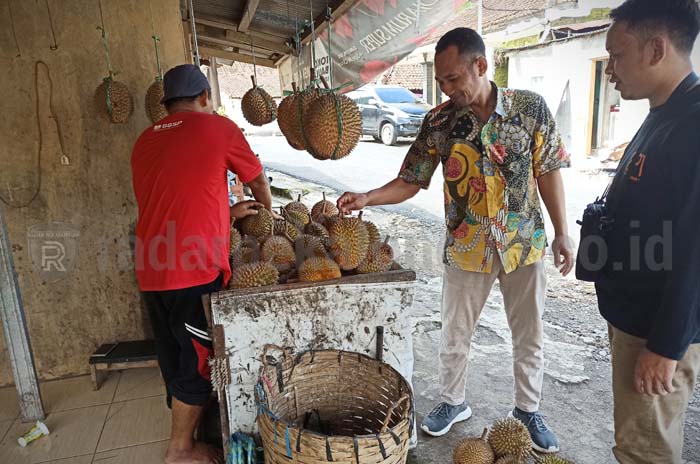 Tenang, Hasil Panen Durian di Kabupaten Pekalongan Diperkirakan Masih Melimpah