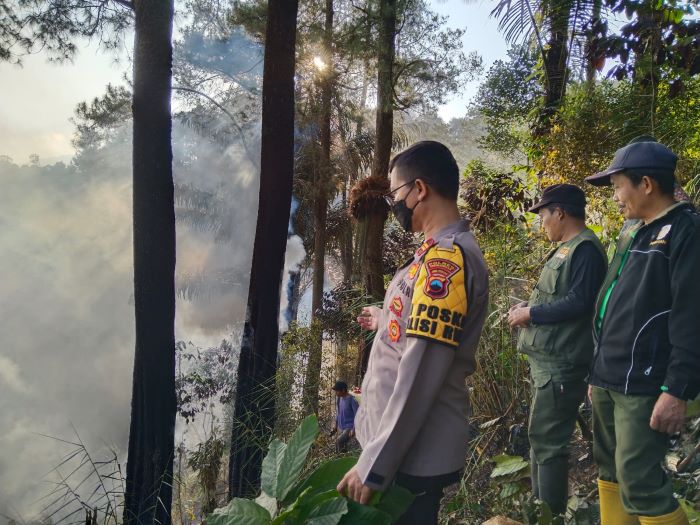 Siang - Malam, Warga Desa Pamutuh Padamkan Kebakaran Hutan