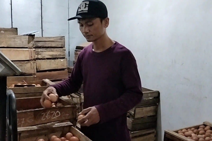 Gara-gara Banyak Ayam Enggan Bertelur, Harga Telur di Batang Jadi Mahal