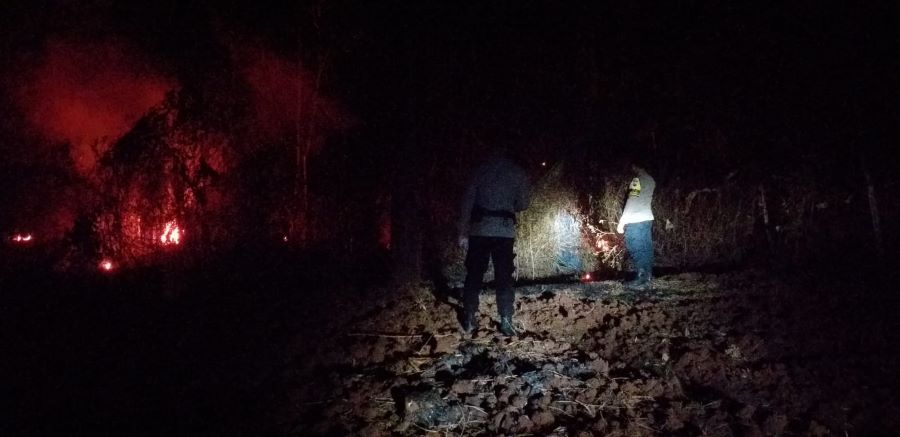 Kebakaran Hutan Pinus di Bukur Pekalongan Kembali Terjadi, Lagi-lagi Gara-gara Puntung Rokok