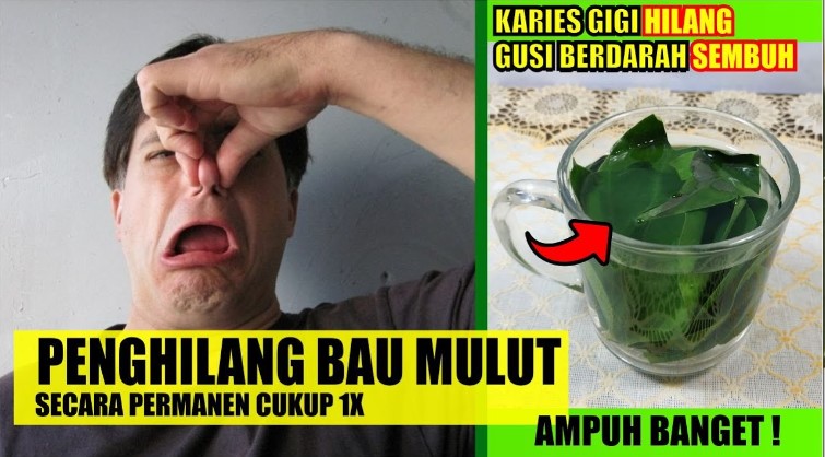 DIY Racikan Penghilang Bau Mulut, Cukup Pakai 1 Jenis Daun Ini Bikin Napas Segar Seharian