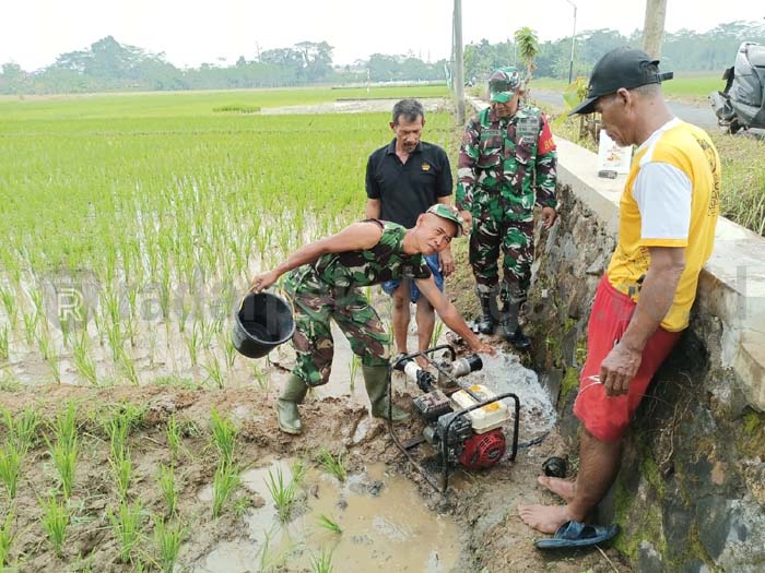 TNI Gandeng Pemdes Selamatkan Lahan Pangan Terimbas Tol