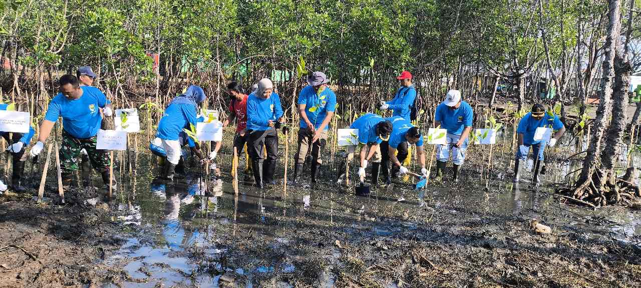 Abrasi Ancam Pesisir Batang, Pemda Genjot Penanaman 117.000 Mangrove 