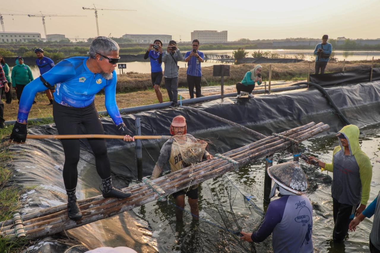 Pemprov Jateng  Hasilkan 3,1 Ton Udang Vaname di Kawasan Industri