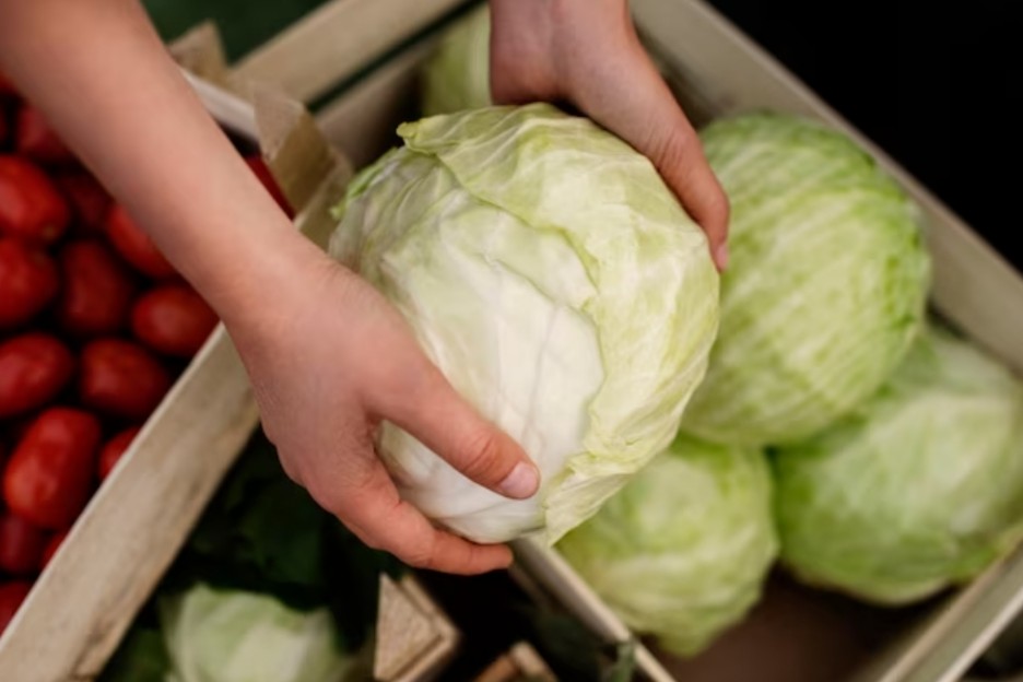 6 Daftar Makanan Sayuran yang Aman Buat Sakit Ginjal, Ampuh Turunkan Kadar Kreatinin!