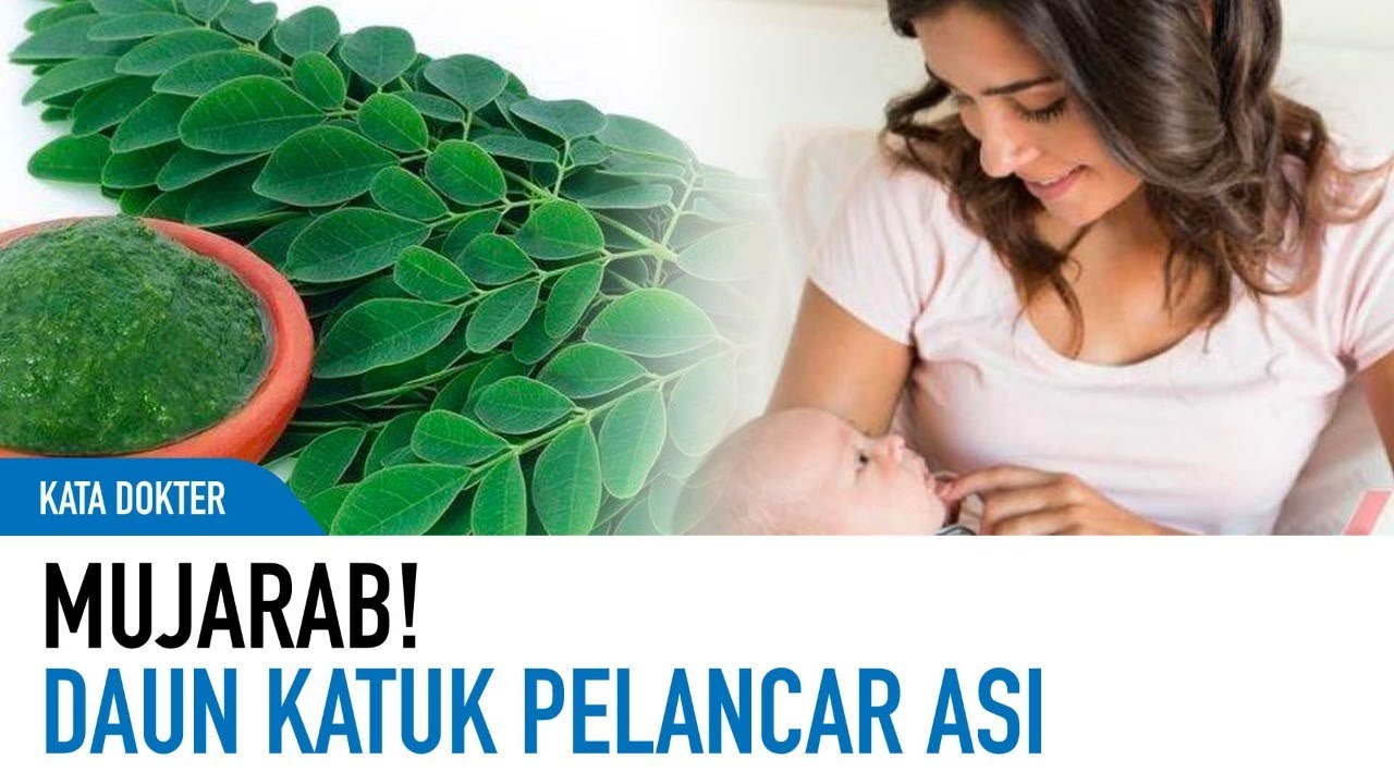 Wanita Harus Baca Ini! 3 Manfaat Daun Katuk untuk Kesehatan Wanita,