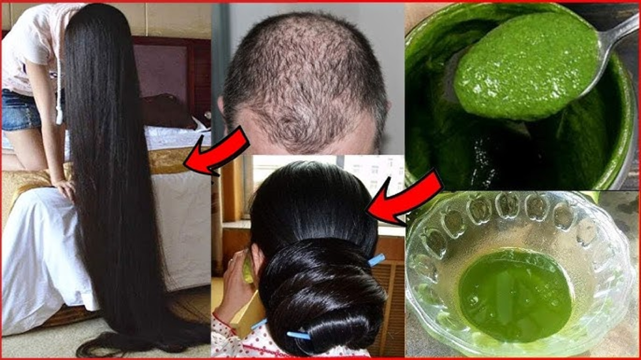 Begini, Cara Menebalkan Rambut dengan Cepat dalam 1 Minggu dengan Bahan Alami