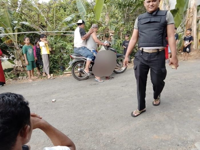 Babi Hutan Kian Meresahkan Warga di Pegunungan Pekalongan, Petani Jaga Ladang di Malam Hari