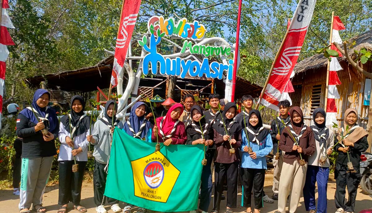 Aksi Nyata Pelajar MAN 1 Pekalongan 'Nyemplung' Tanam Mangrove di Mulyorejo Demi Cegah Rob
