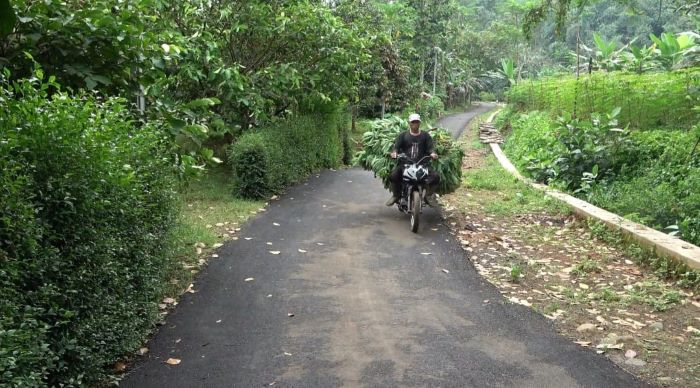 Dulu Jalan Rusak dan Sulit Dilalui, Jalan Hasil TMMD di Desa Kalirejo Talun Kini Bagus