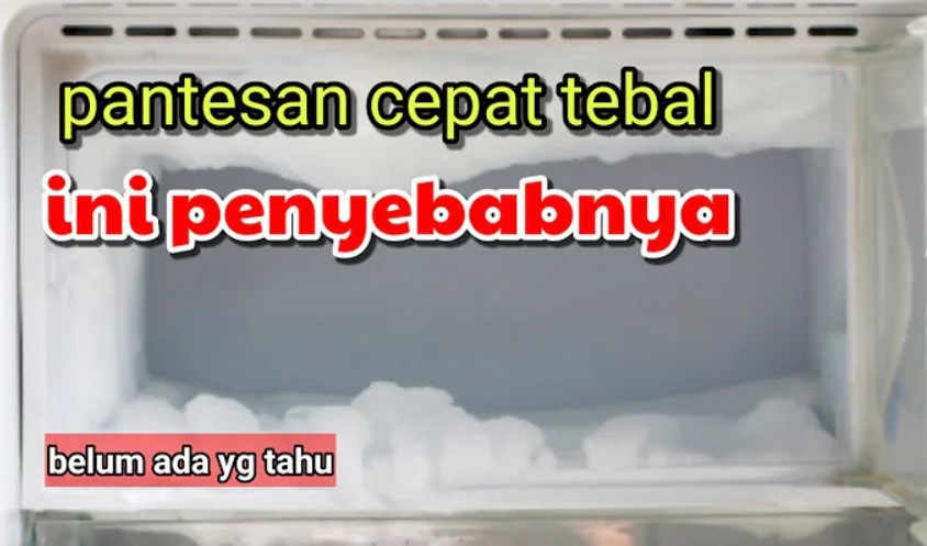 Dari mana asal bunga es di kulkas? Ternyata Dia 10 Penyebab Kulkas Cepat Muncul Salju ES atau Bunga Es!