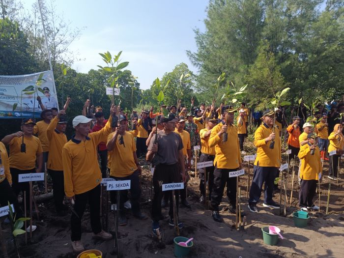 Sukseskan Program Mageri Segoro, Pemkab Pekalongan Tanam 2.500 Bibit Mangrove di Pesisir Pantai Wonokerto
